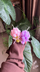 توليب