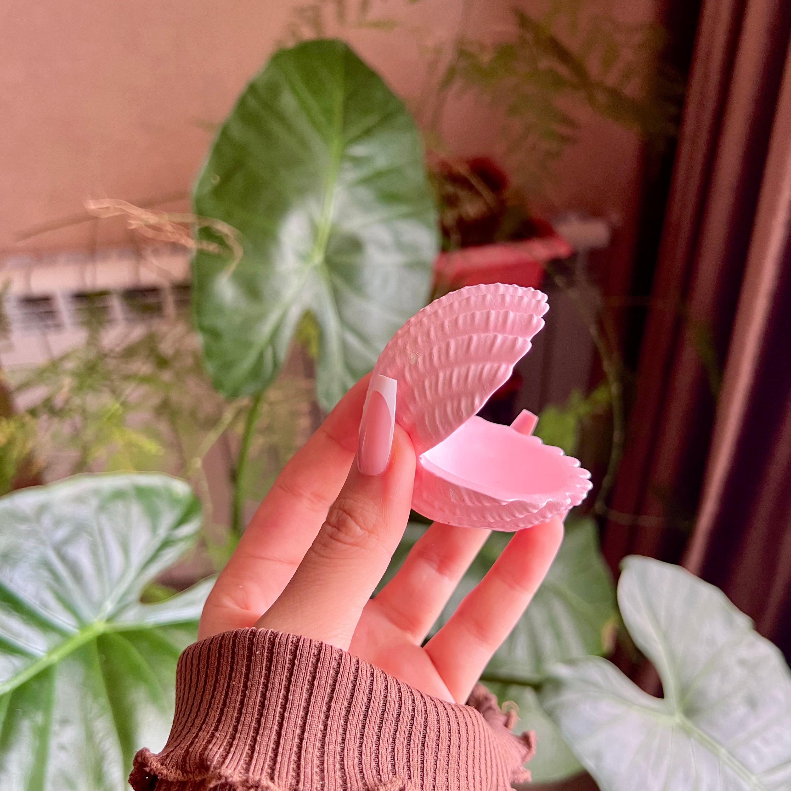 صدفة