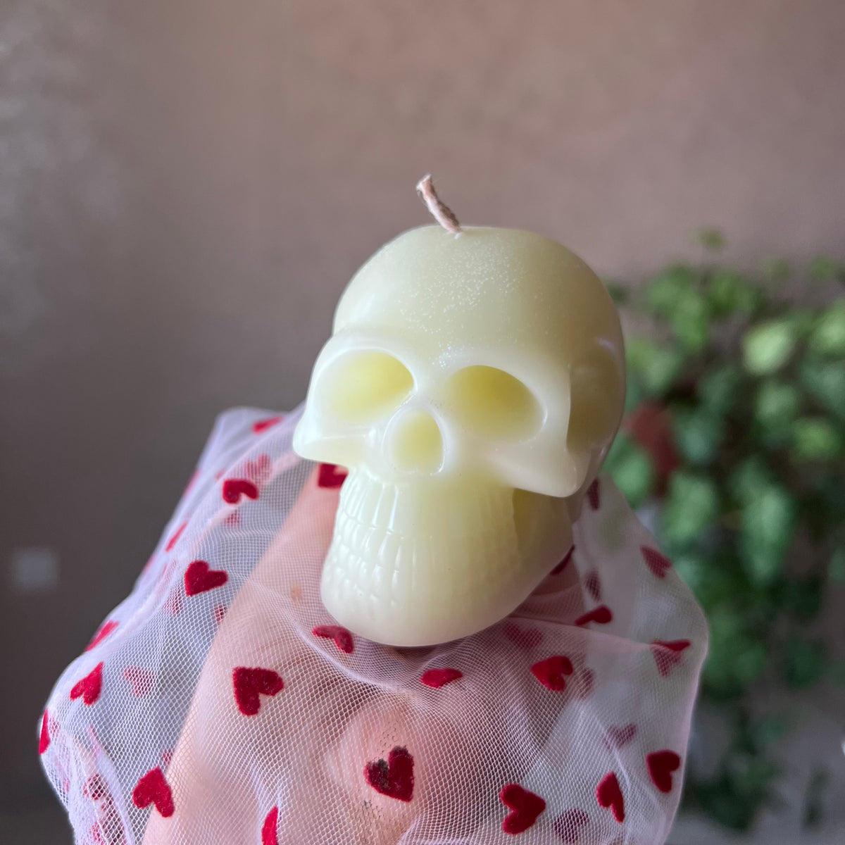 Skull