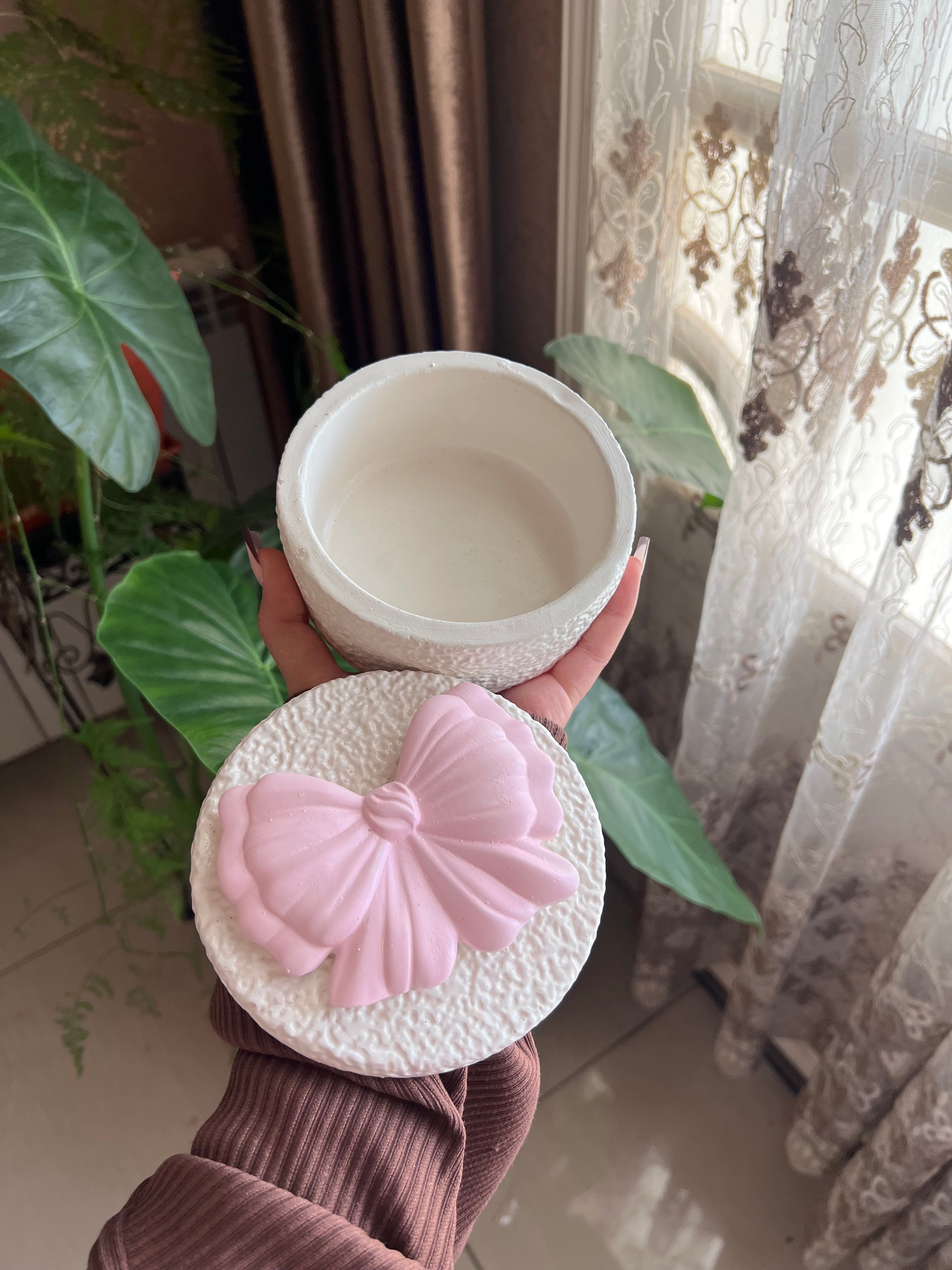 حاملة اكسيسوارت